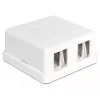 DeLOCK 86207 Keystone lege opbouwdoos, 2 poorten, wit