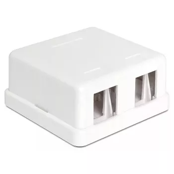DeLOCK 86207 Keystone lege opbouwdoos, 2 poorten, wit