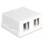 DeLOCK 86207 Keystone lege opbouwdoos, 2 poorten, wit