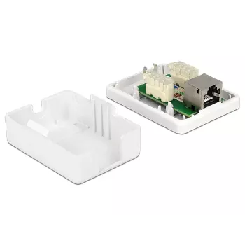 Netwerkdoos RJ-45 DeLOCK 86169