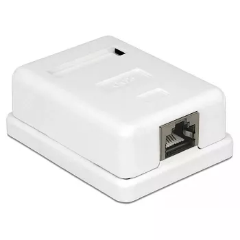 Netwerkdoos RJ-45 DeLOCK 86169