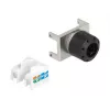 Keystone-module RJ45-bus naar LSA DeLOCK 87036
