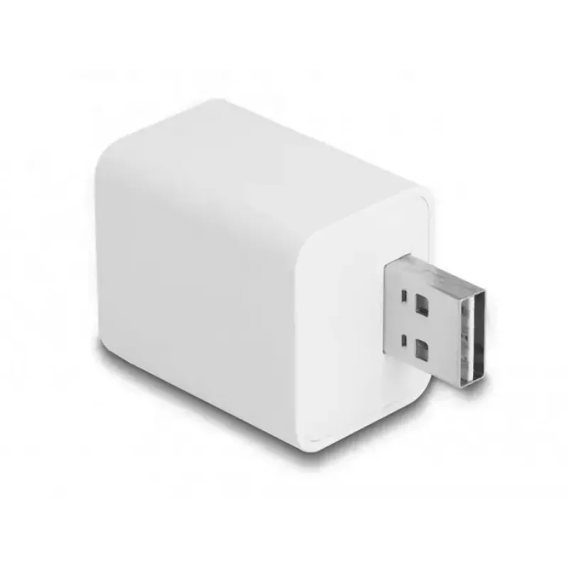 Smart stopcontact DeLOCK 11828 binnen Wi-Fi 2 A wit