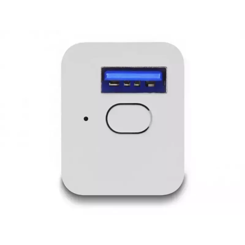 Smart stopcontact DeLOCK 11828 binnen Wi-Fi 2 A wit