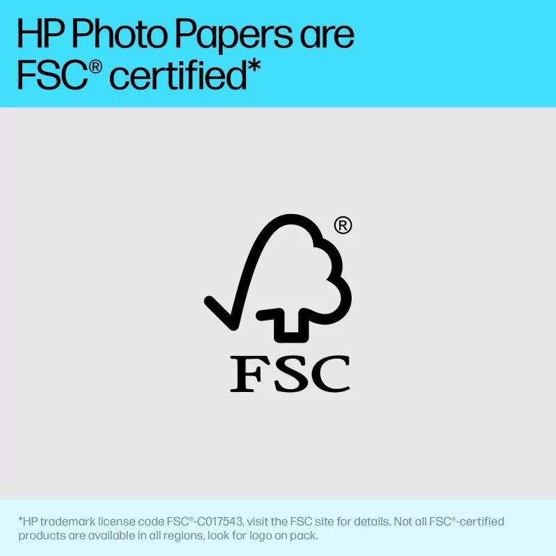 HP 49V51A Advanced fotopapier, glanzend, 4 x 12 inch (102 x 305 mm), 250 g/m², 65 lb, 10,5 mil, 10 vellen