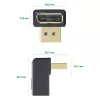 InLine DisplayPort-adapter, DisplayPort-stekker / bus naar beneden afgewinkeld