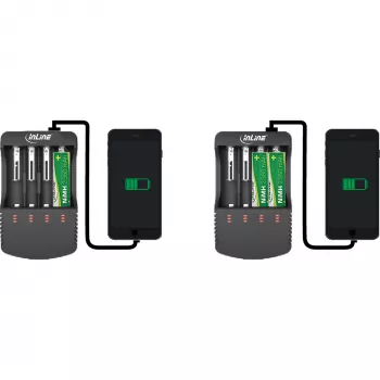 InLine oplader voor lithium- en NiCd+NiMH-accu's, 1 stuk