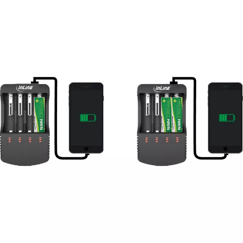 InLine oplader voor lithium- en NiCd+NiMH-accu's, 1 stuk
