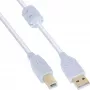 InLine USB 2.0-kabel Type-A stekker / B stekker, verguld, met ferriet, wit, 0,5 m