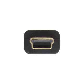 InLine USB 2.0 mini-kabel, Type-A stekker / mini-B stekker (5-polig), zwart/goud, 2m