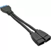 InLine USB 3.0 adapterkabel intern 2x USB Type-A bus / moederbord-header