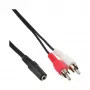 Audiokabel 2x RCA stekker / 3,5 mm stereo bus 3 m InLine 89940D