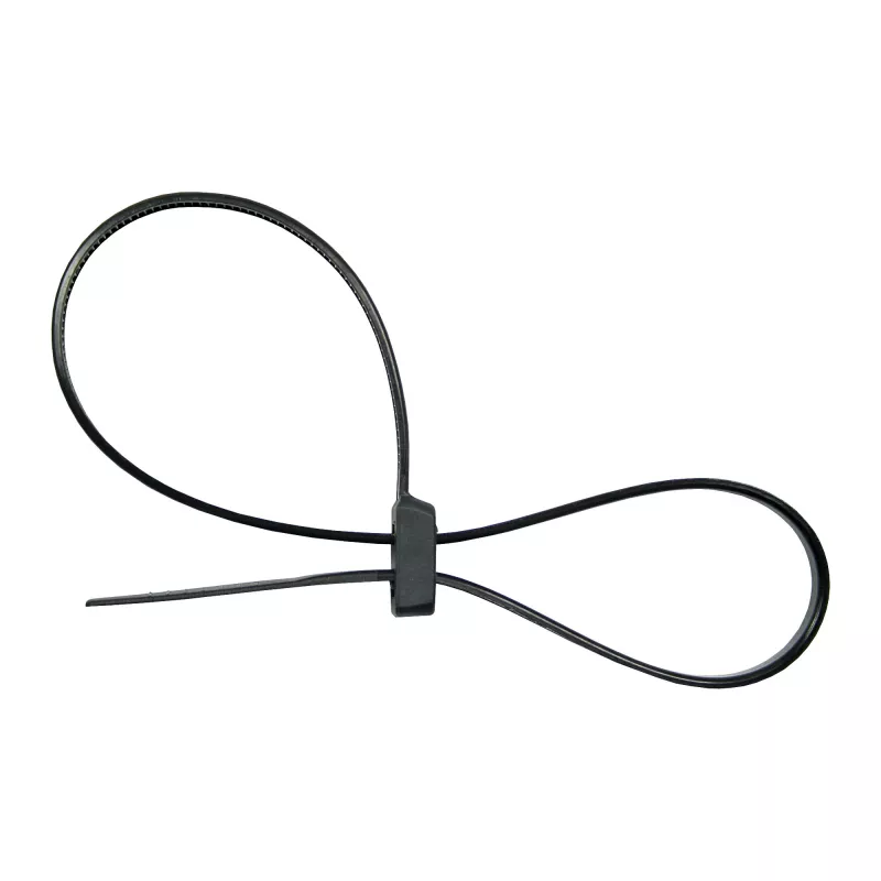 InLine monteerbare dubbelkop-kabelbinder 300 mm x 4,8 mm, nylon, zwart, 100 stuks