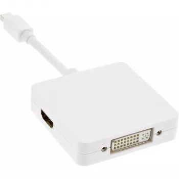 InLine Mini DisplayPort naar HDMI DVI DisplayPort adapterkabel 17195I