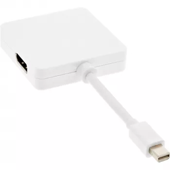 InLine Mini DisplayPort naar HDMI DVI DisplayPort adapterkabel 17195I