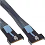 InLine 27661B Serial Attached SCSI (SAS)-kabel 0,75 m 24 Gbit/s zwart, blauw, grijs