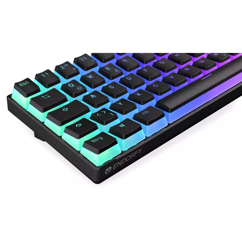 Gaming-toetsenbord ENDORFY Thock Compact RF draadloos USB QWERTZ 61 toetsen RGB LED