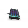 Gaming-toetsenbord ENDORFY Thock Compact RF draadloos USB QWERTZ 61 toetsen RGB LED