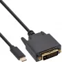 InLine USB-displaykabel, USB-C stekker / DVI stekker (DP Alt Mode), zwart, 2 m