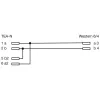InLine TAE-N-kabel TAE-N / RJ11 adapter 6P2C doorverbonden 3m