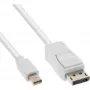 InLine Mini DisplayPort naar DisplayPort-kabel wit 1 m