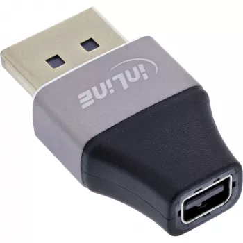 InLine 17291B kabeladapter DisplayPort Mini DisplayPort zwart, grijs