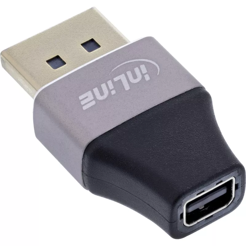 InLine 17291B kabeladapter DisplayPort Mini DisplayPort zwart, grijs