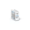 Epson SureColor SC-P900 fotoprinter met rolunit, kleureninkjet, A2+ (43,2 cm / 17"), 5760 x 1440 dpi, 10 kleuren, wifi, Ethernet-LAN, USB