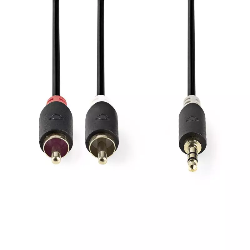 Audiokabel Nedis CABW22200AT20 2 m 3,5 mm 2 x RCA antraciet