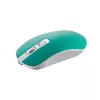 Muis Canyon CNS-CMSW18A RF draadloos optisch