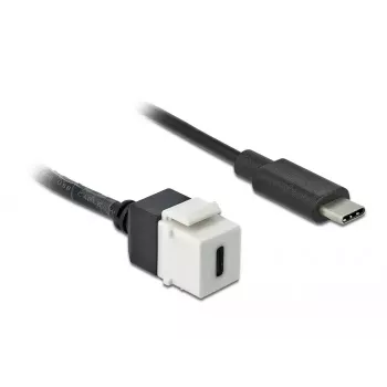 Keystone-module DeLOCK 86399 plat zwart wit USB-C