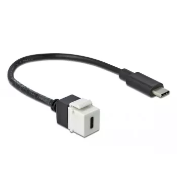 Keystone-module DeLOCK 86399 plat zwart wit USB-C