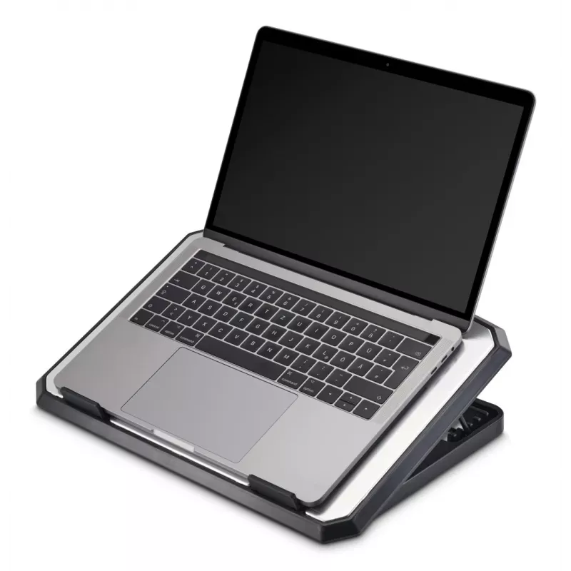 Hama 00126807 aluminium laptopkoeler, kantelbaar, 2 ventilatoren, tot 39,6 cm (15,6 inch), zwart