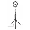 Ringlicht Hama SpotLight Steady 120 III 160 LED 1020 lm 3000 K