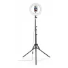 Ringlicht Hama SpotLight Steady 120 III 160 LED 1020 lm 3000 K