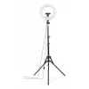Ringlicht Hama SpotLight Steady 120 III 160 LED 1020 lm 3000 K