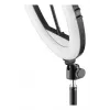 Ringlicht Hama SpotLight Steady 120 III 160 LED 1020 lm 3000 K