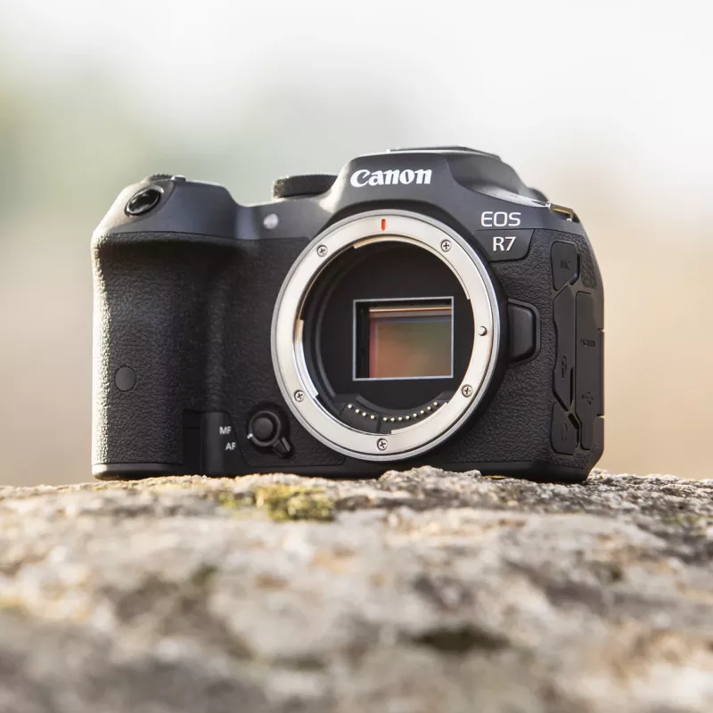 Canon EOS R7 MILC behuizing 32,5 MP CMOS 6960 x 4640 pixel zwart
