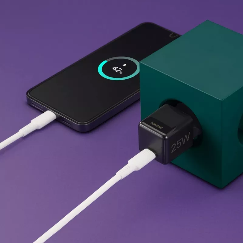 Hama 00201985 oplader voor mobiele apparaten smartphone zwart AC snelladen binnen