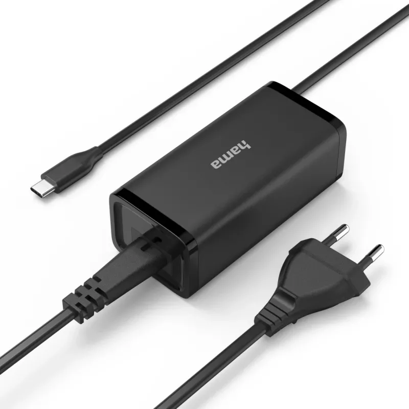 Hama 00200024 Voeding Indoor/outdoor 100 W Zwart