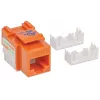 Intellinet Keystone Jack, Cat6, UTP, Punch-down, Oranje