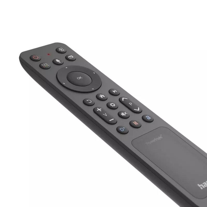 Hama 00221058 afstandsbediening Bluetooth tv drukknoppen