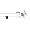 InLine slatwall monitorhouder lang wit 8 kg 17 inch