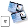 Rexel shredder oil sheets (pak van 12)