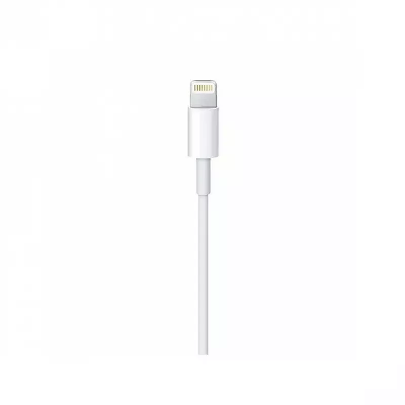 Kabel Apple Lightning naar USB-C kabel (2 m) MKQ42ZM/A