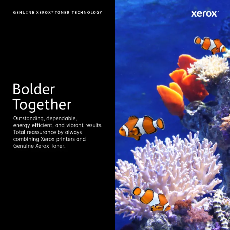 Xerox 106R02626 tonerpatroon 2 stuks origineel zwart