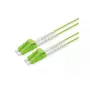 ROLINE InfiniBand/glasvezelkabel 1m 2x LC groen OM5 50µm