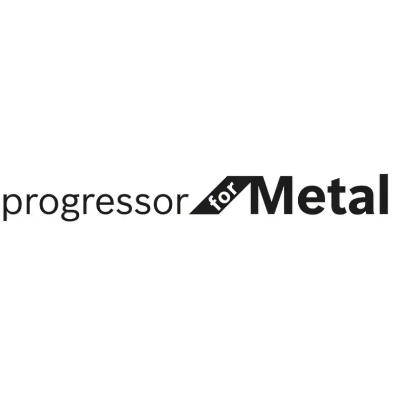 Sabelzaagblad Bosch S 123 XF Progressor for Metal 10 cm HCS