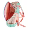 Schoolrugzak Herlitz Rookie Sweet Jungle groen perzik polyester