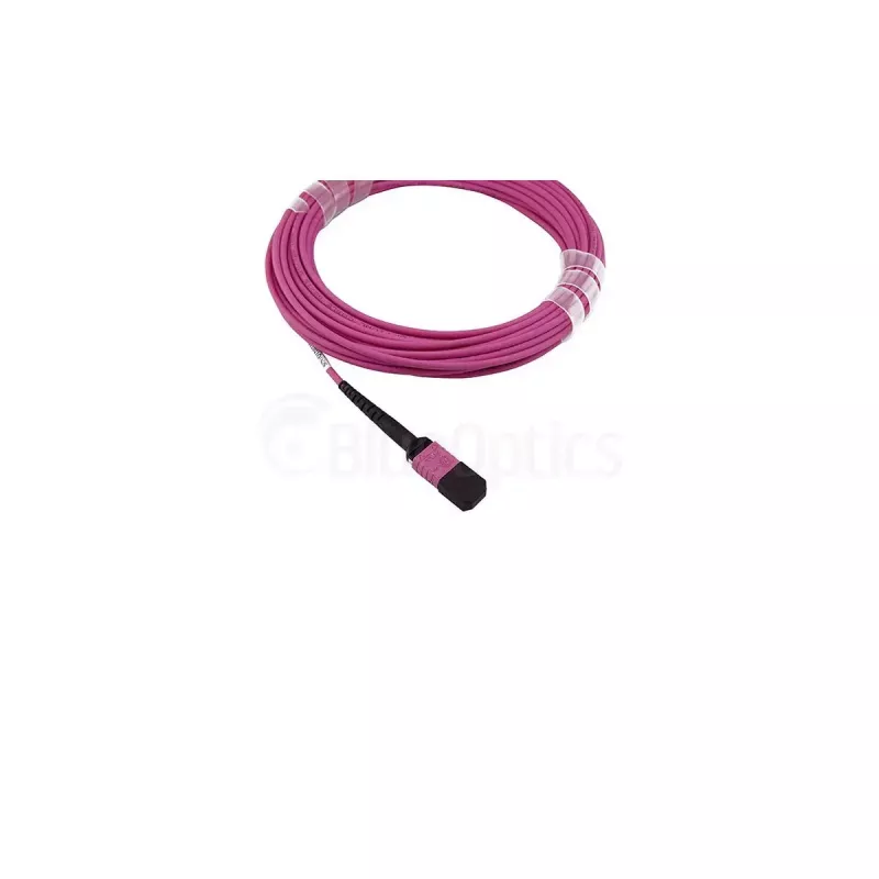 BlueOptics InfiniBand/glasvezelkabel 7,5 m MPO OM4